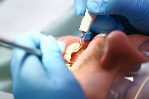 Best Emergency Orthodontic Repairs in East Lexington, VA